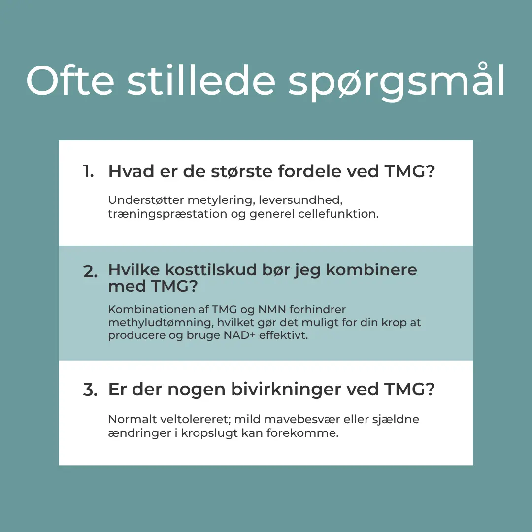 Miniaturebillede 8